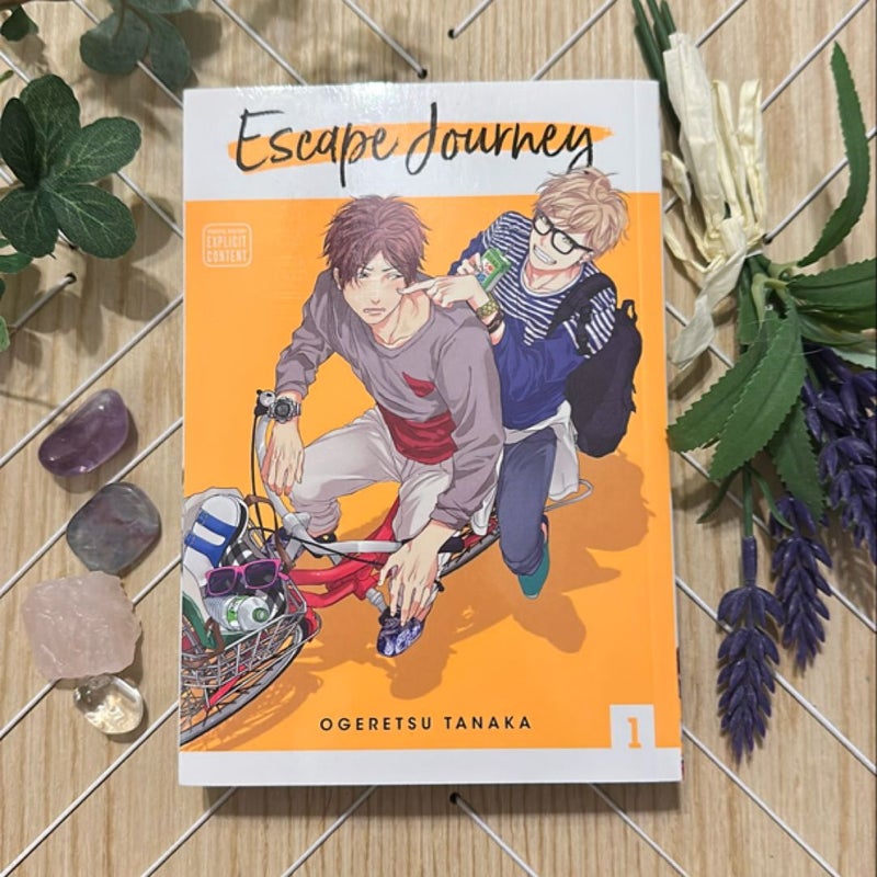 Escape Journey, Vol. 1