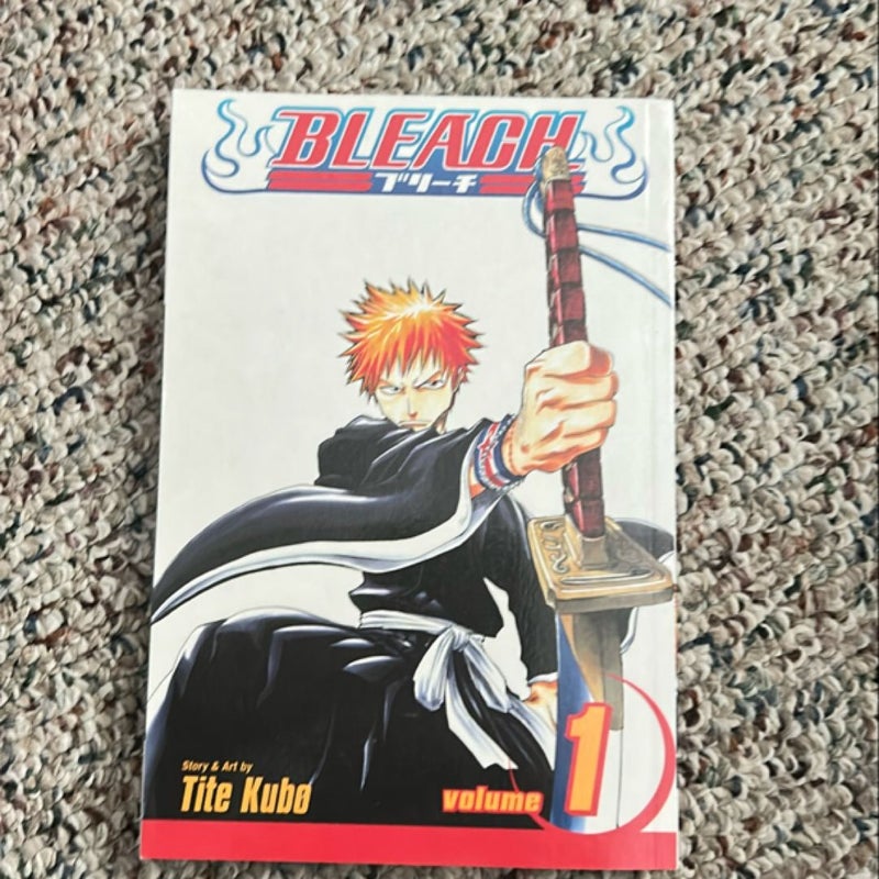 Bleach, Vol. 1