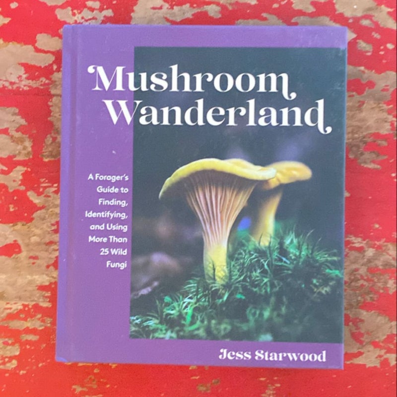 Mushroom Wanderland