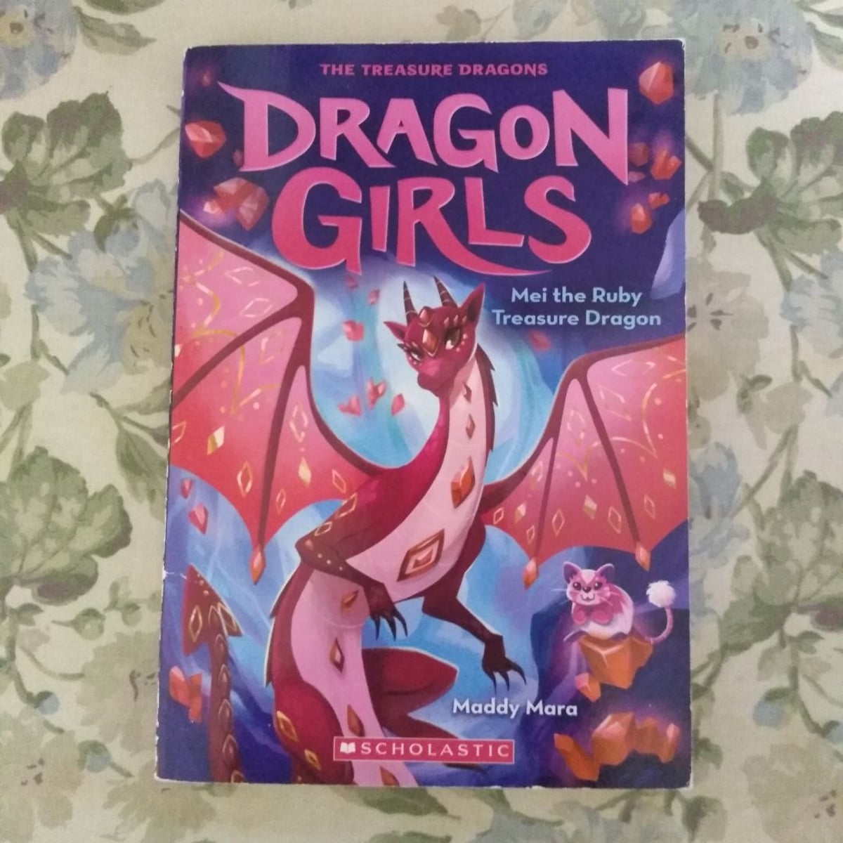 Mei the Ruby Treasure Dragon (Dragon Girls #4) by Maddy Mara
