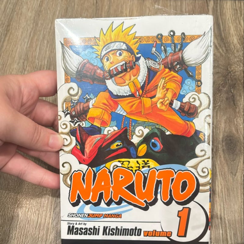 Naruto, Vol. 1