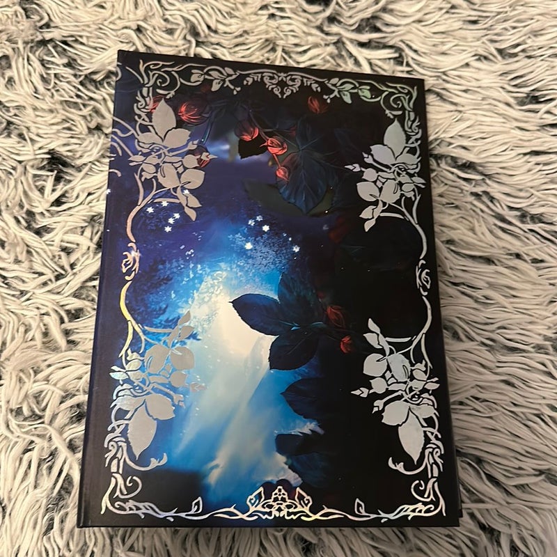 Fairyloot Photo Album