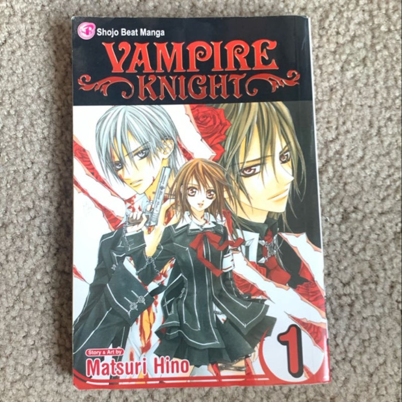 Vampire Knight, Vol. 1