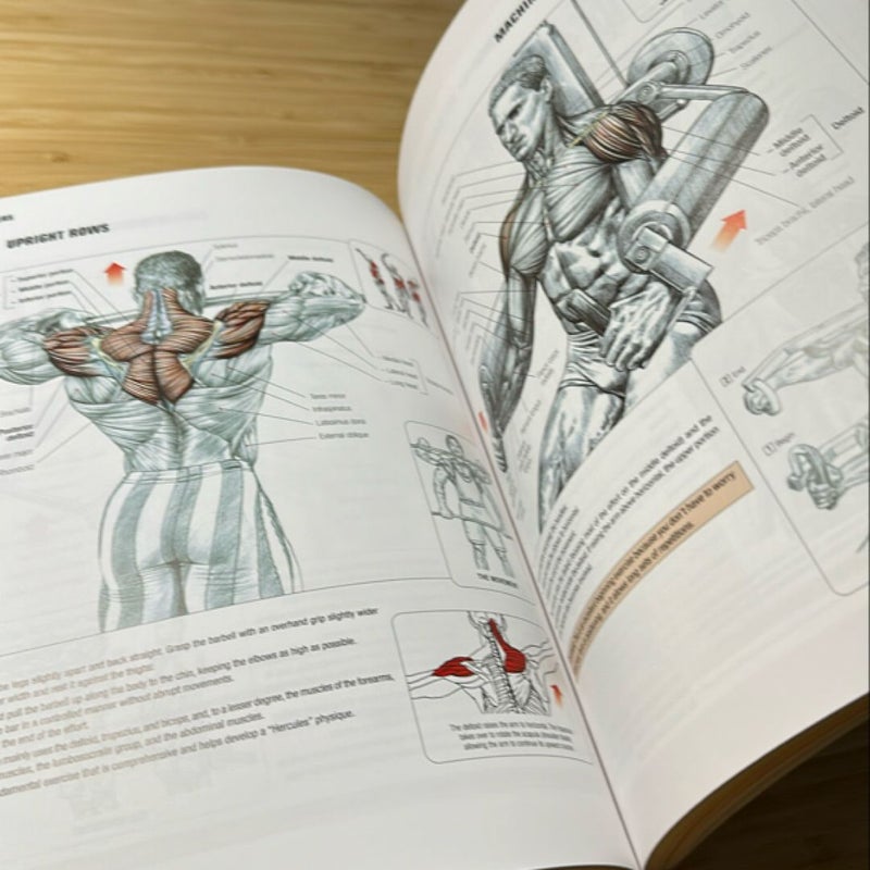 Strength Training Anatomy