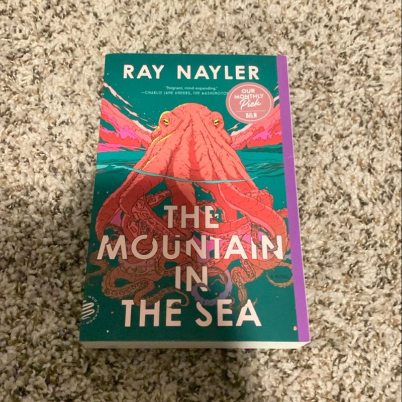 The Mountain in the Sea