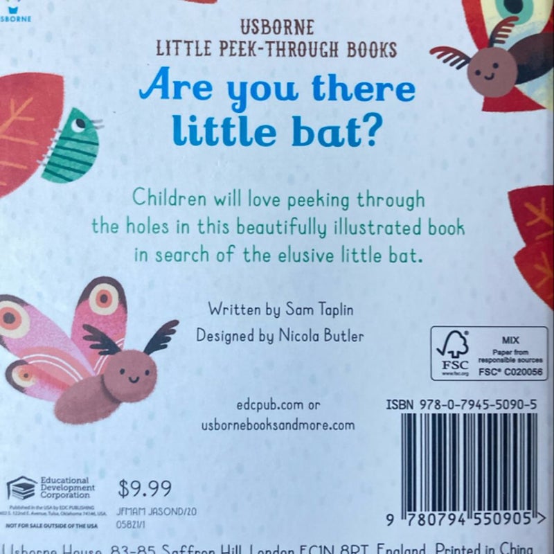 Usborne Little Peek-Through Books Are You There Little Bat?
