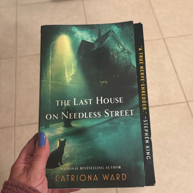 The Last House on Needless Street