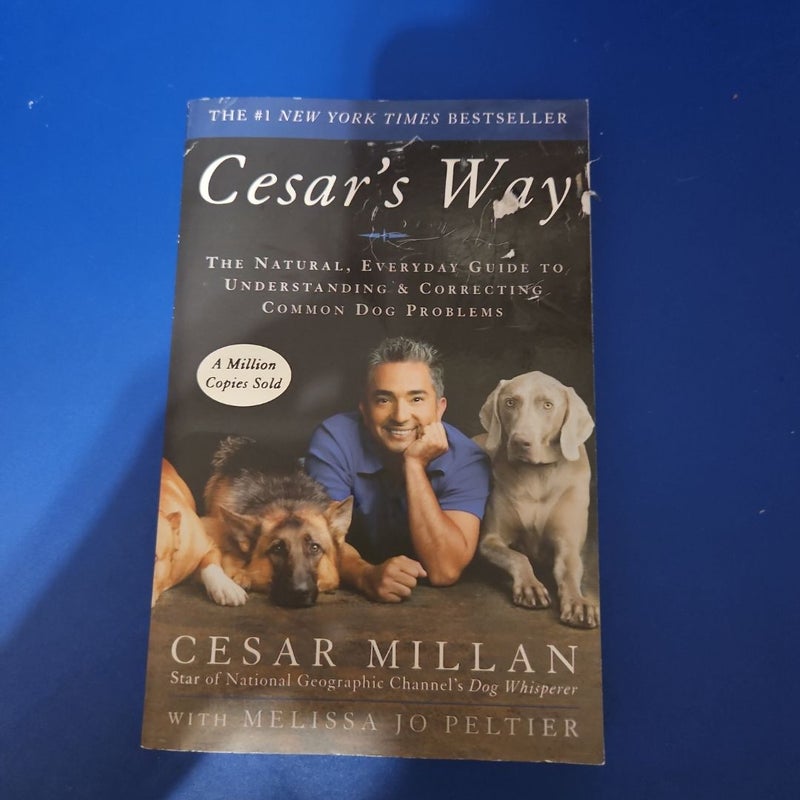 Cesar's Way