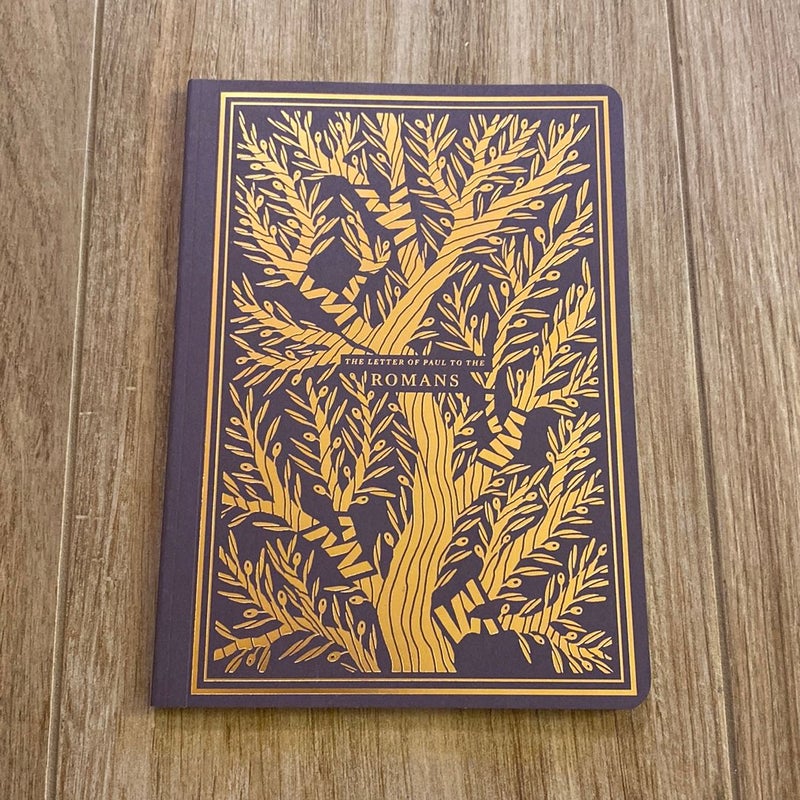 Romans: ESV Illuminated Scripture Journal 