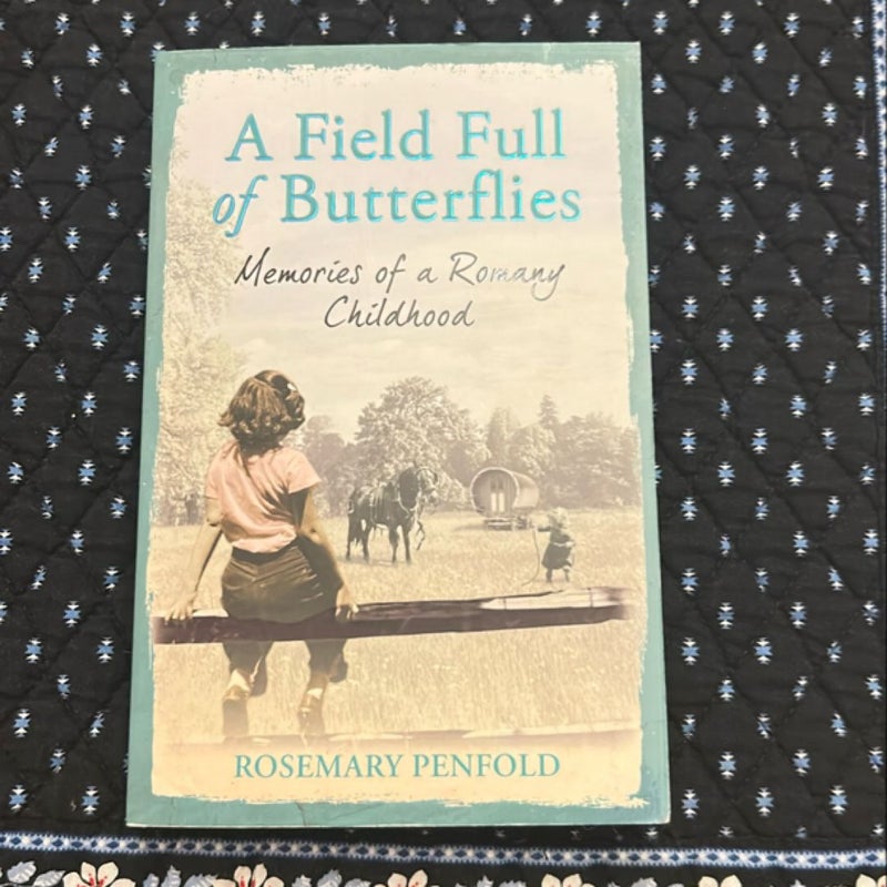 A Field Full of Butterflies