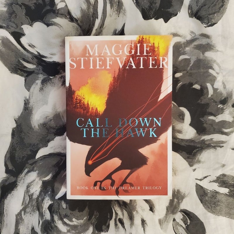 Call Down the Hawk (UK Paperback Edition)