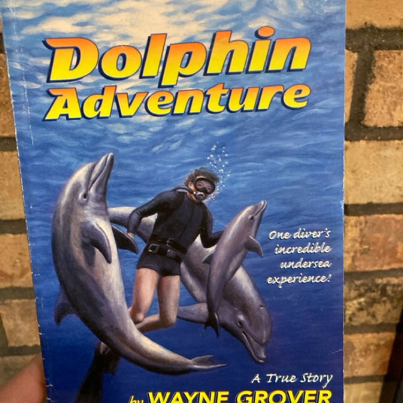 Dolphin Adventure