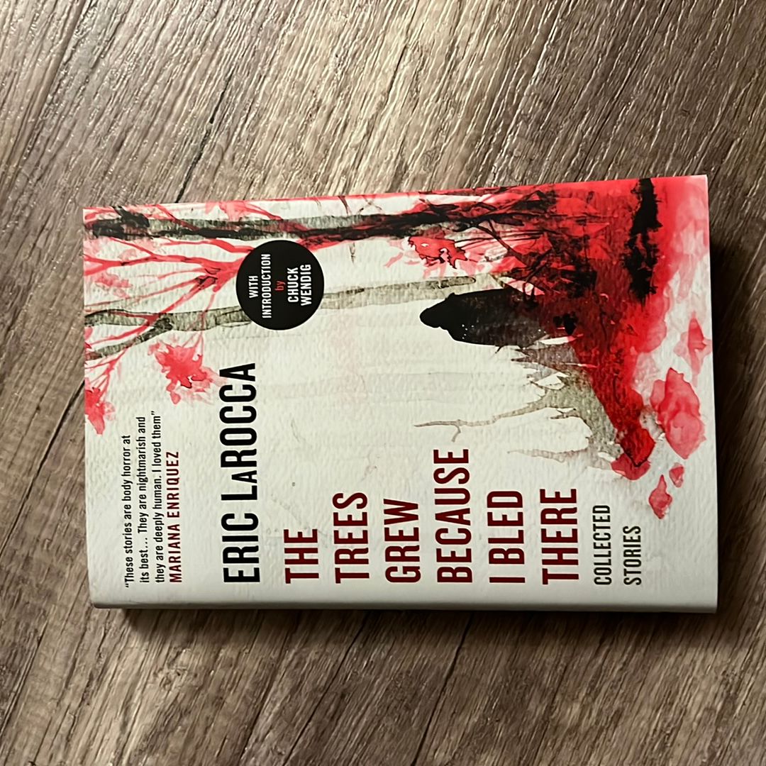 Sale image for e9ab651b-a992-4536-b9c3-04a292159017-IhI9FK8Xu3TbqrY9YbxDX6TQap42