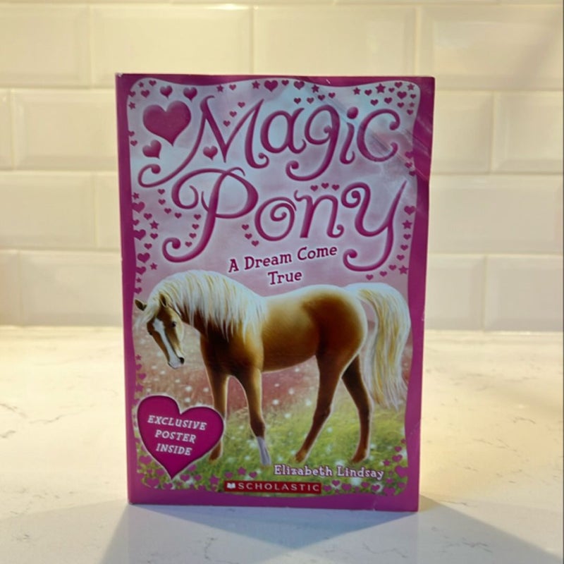 Magic Pony