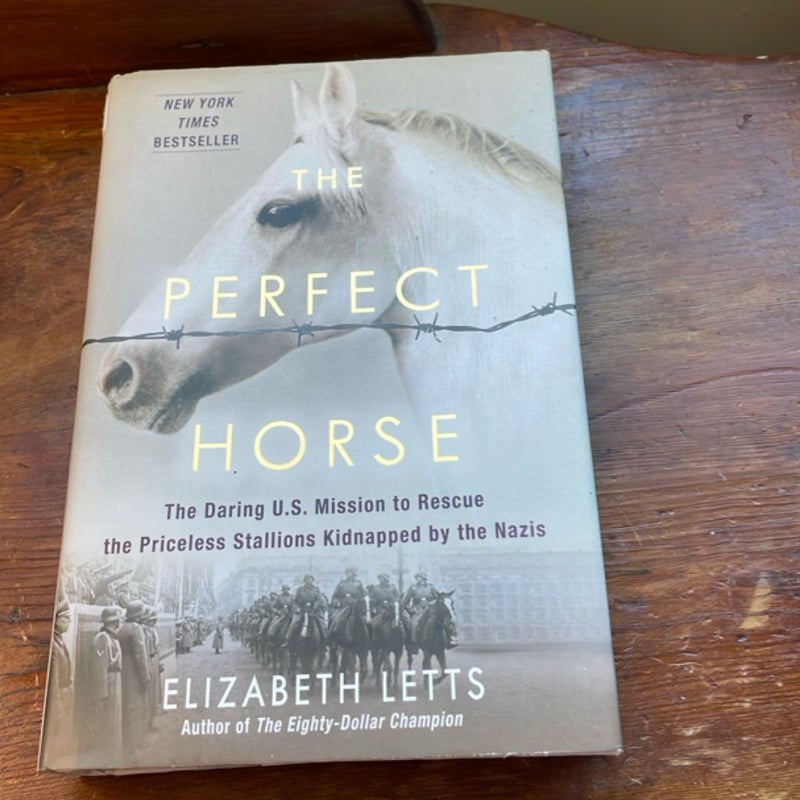 The Perfect Horse