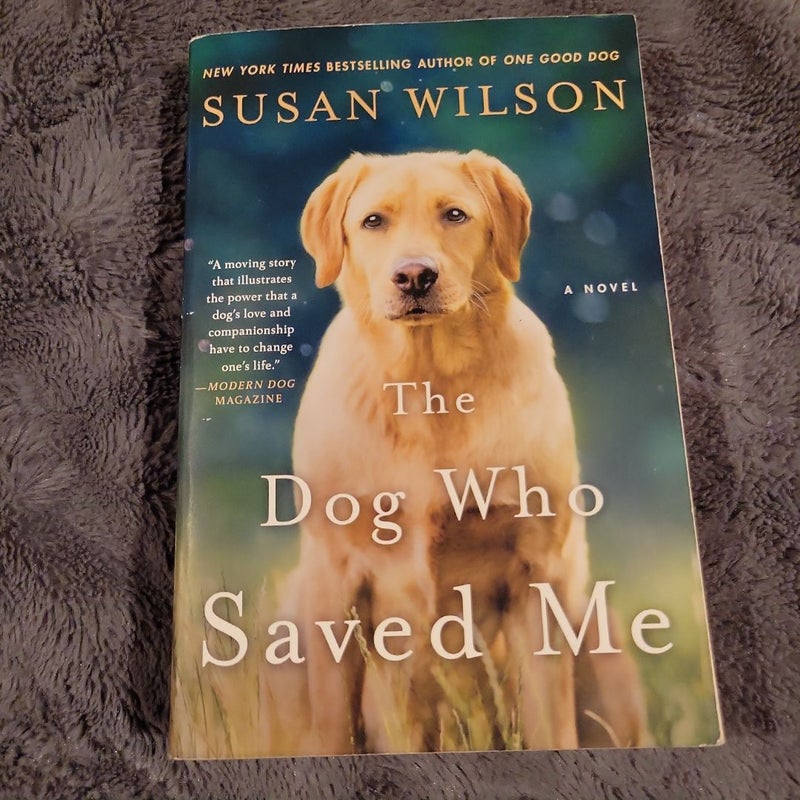 The Dog Who Saved Me