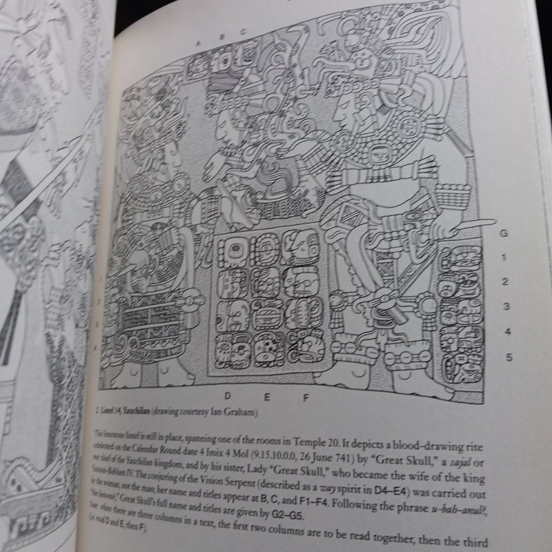 Reading the Maya Glyphs