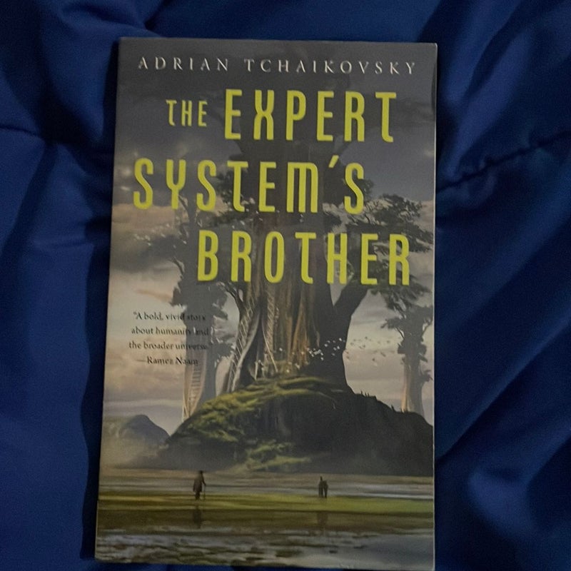 The Expert System's Brother