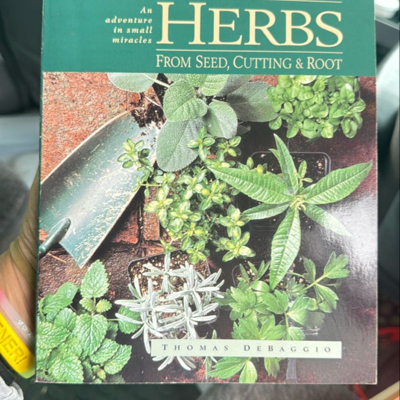 Growing Herbs from Seed, Cutting and Roots