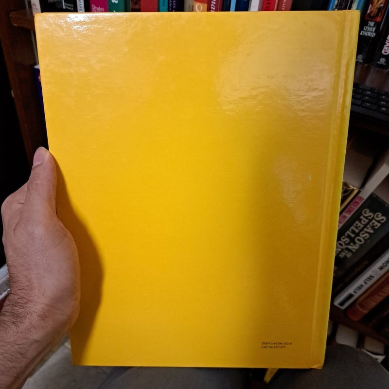 Mastering Color Photography