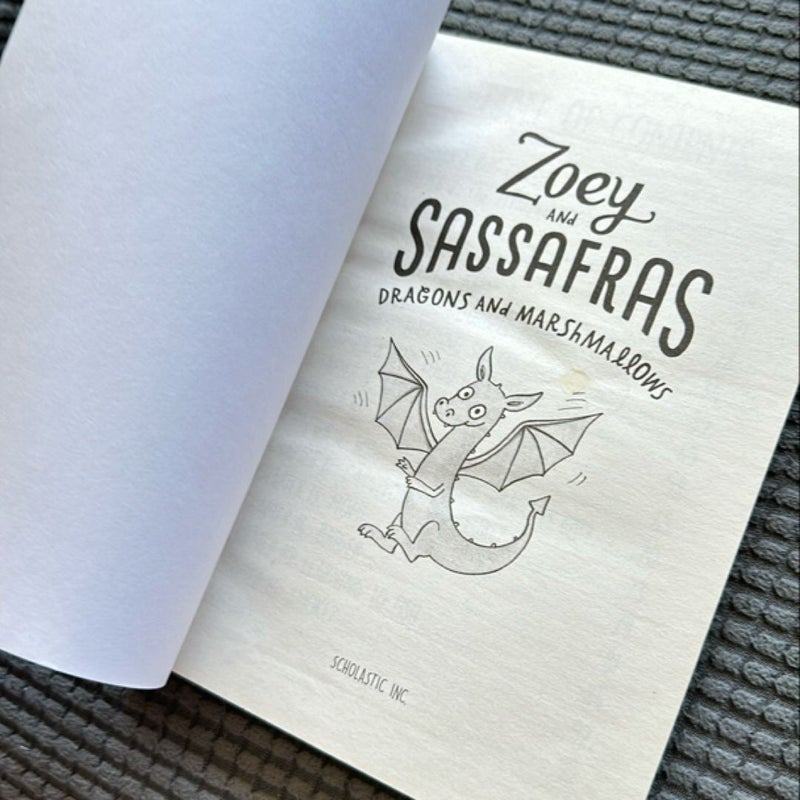 Zoey and Sassafras: Dragons and Marshmallows