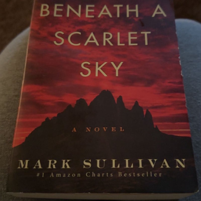 Beneath a scarlet sky