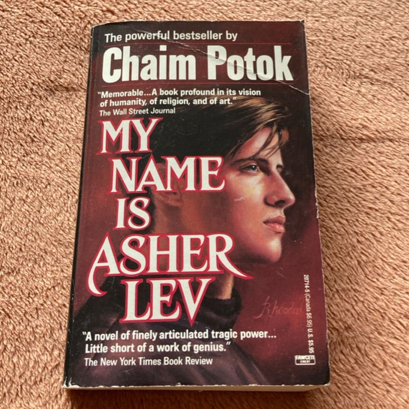 My Name Is Asher Lev