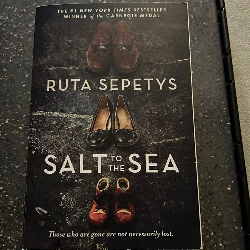 Salt to the Sea