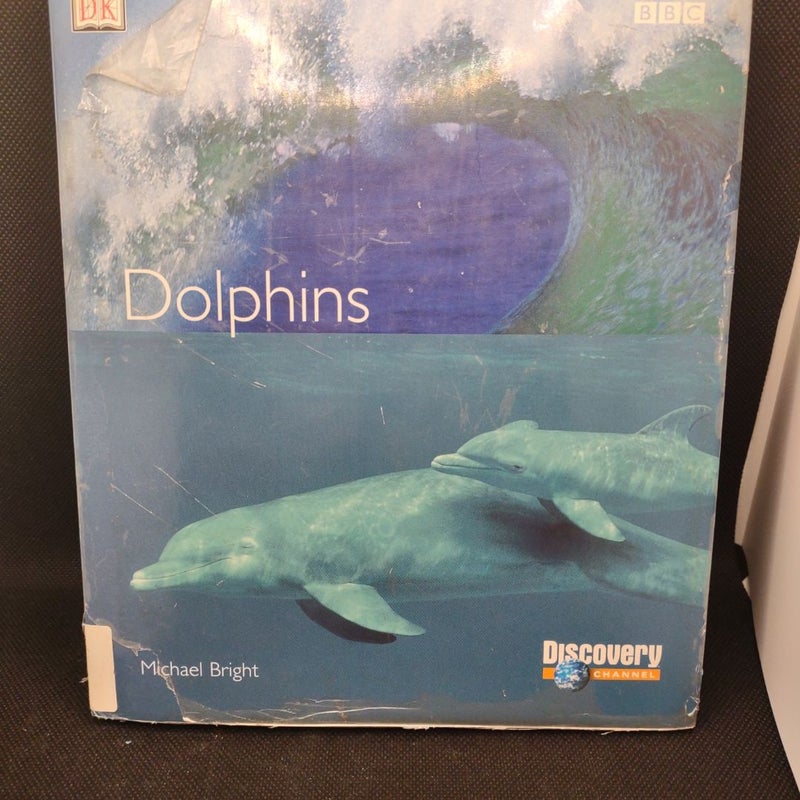 Dolphins