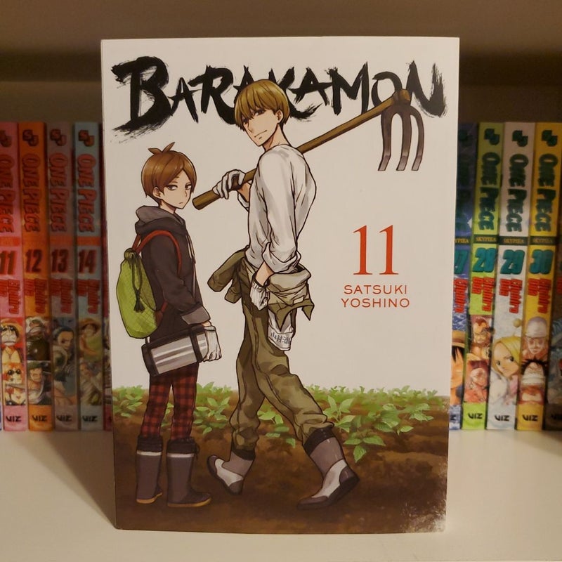 Barakamon, Vol. 11