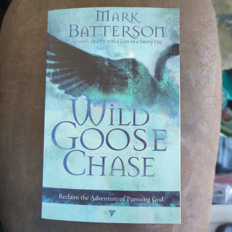 Wild Goose Chase