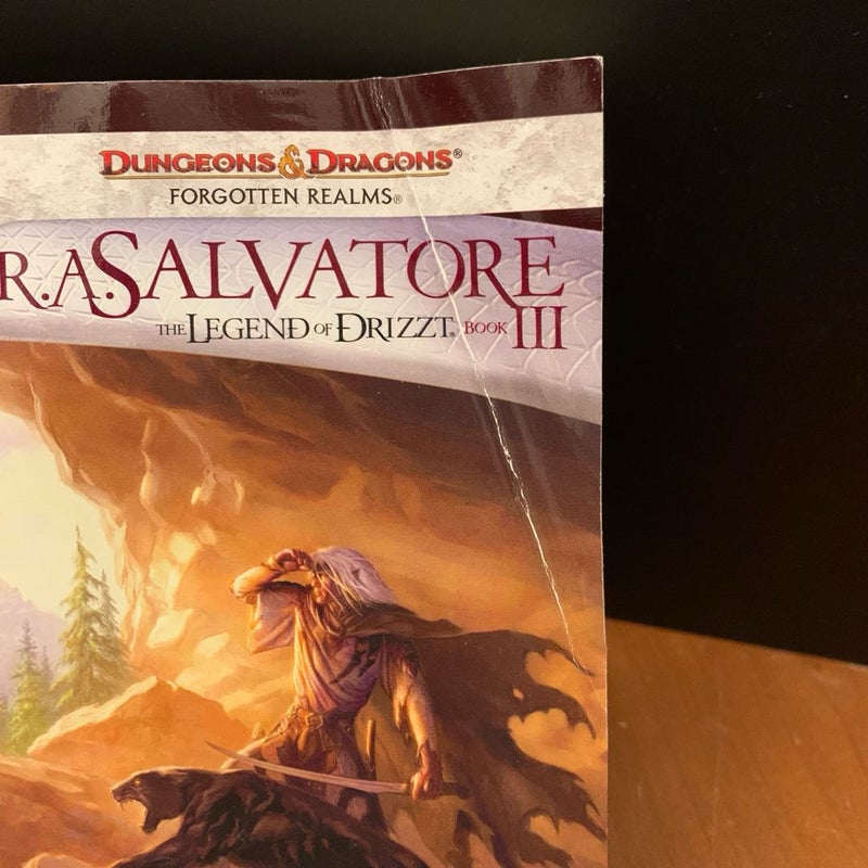 Legend of Drizzt 1-13: 4 Complete Series, Dark Elf, Icewind Dale, Legacy of the Drow, Paths of Darkness: Homeland, Exile, Sojourn, The Crystal Shard, Streams of Silver, The Halfling’s Gem, The Legacy, Starless Night, Siege of Darkness, Passage to Dawn, The Silent Blade, The Spine of the World, Sea of Swords