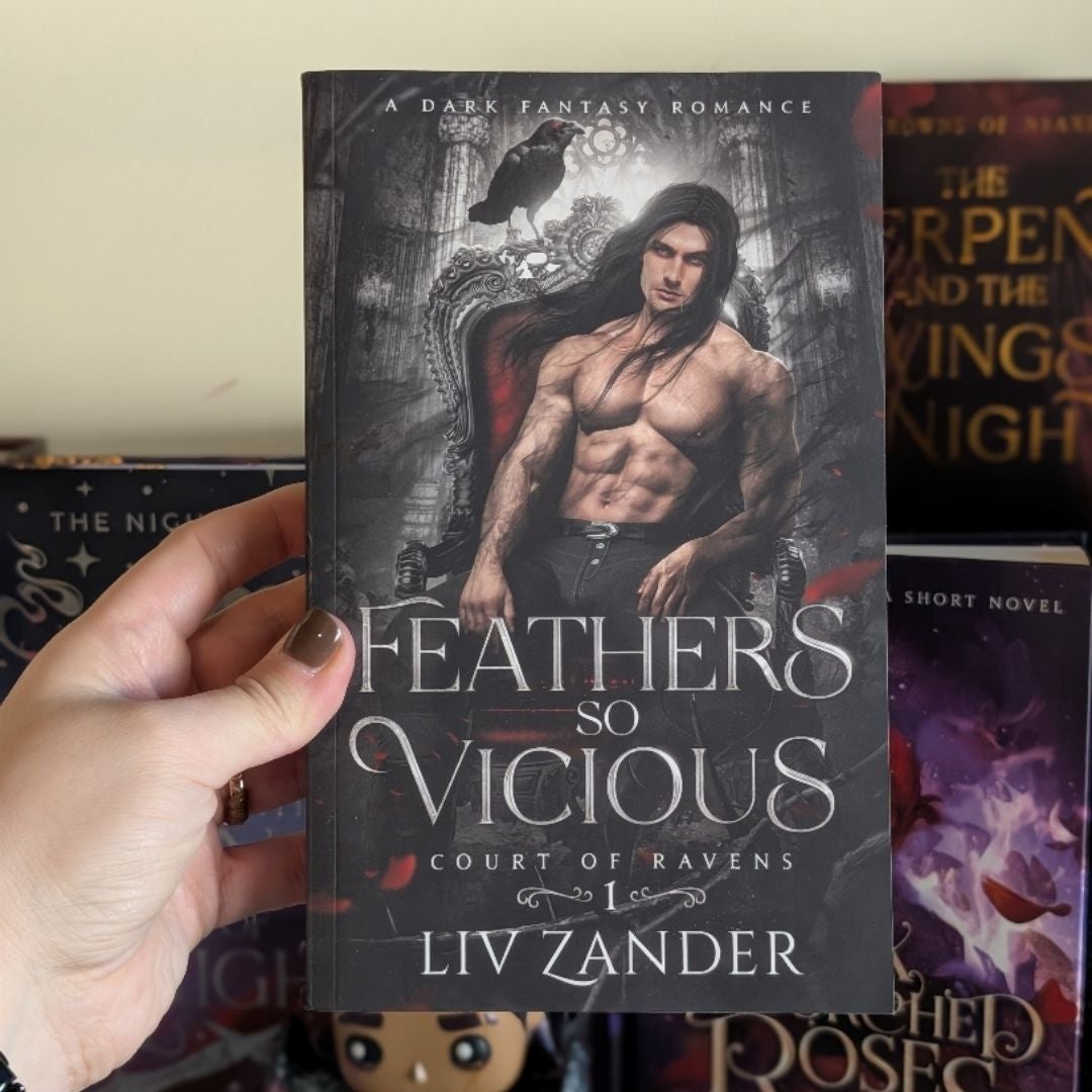 Feathers So Vicious: a Dark Fantasy Romance