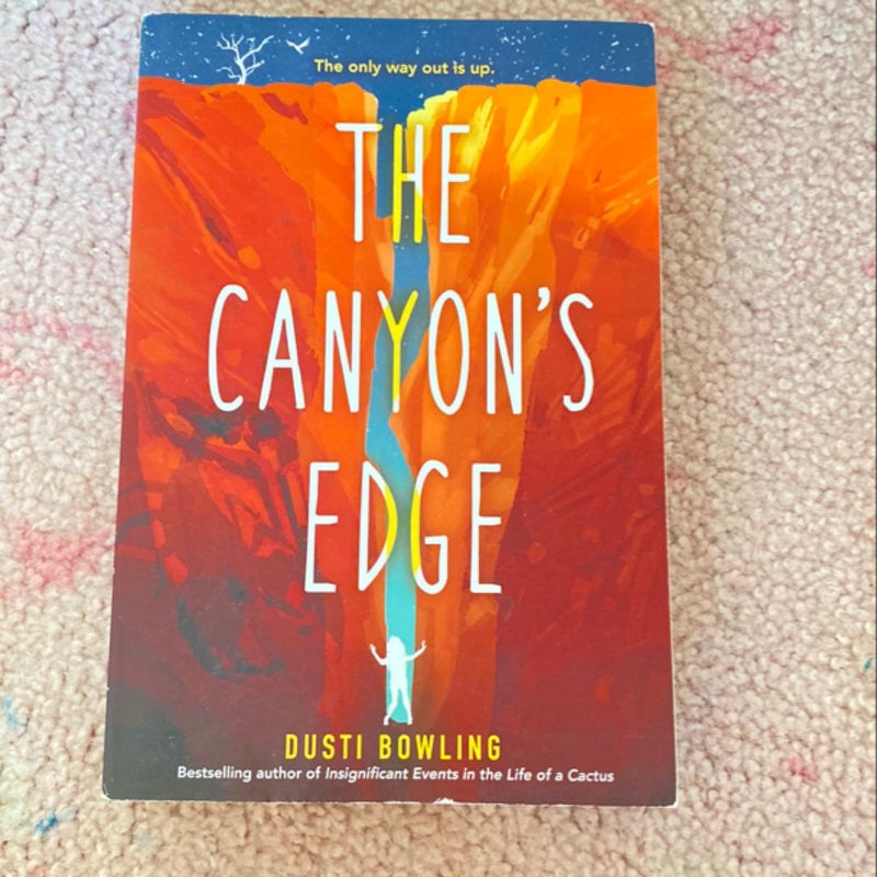 The Canyon's Edge