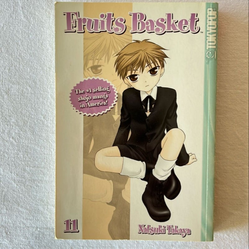 Fruits Basket 11