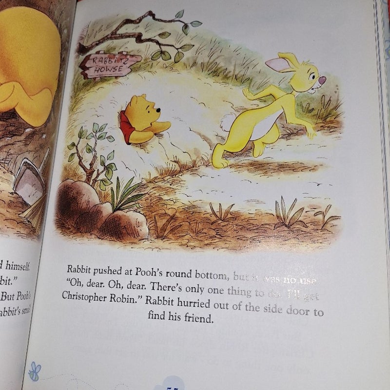 Winnie the pooh storybook