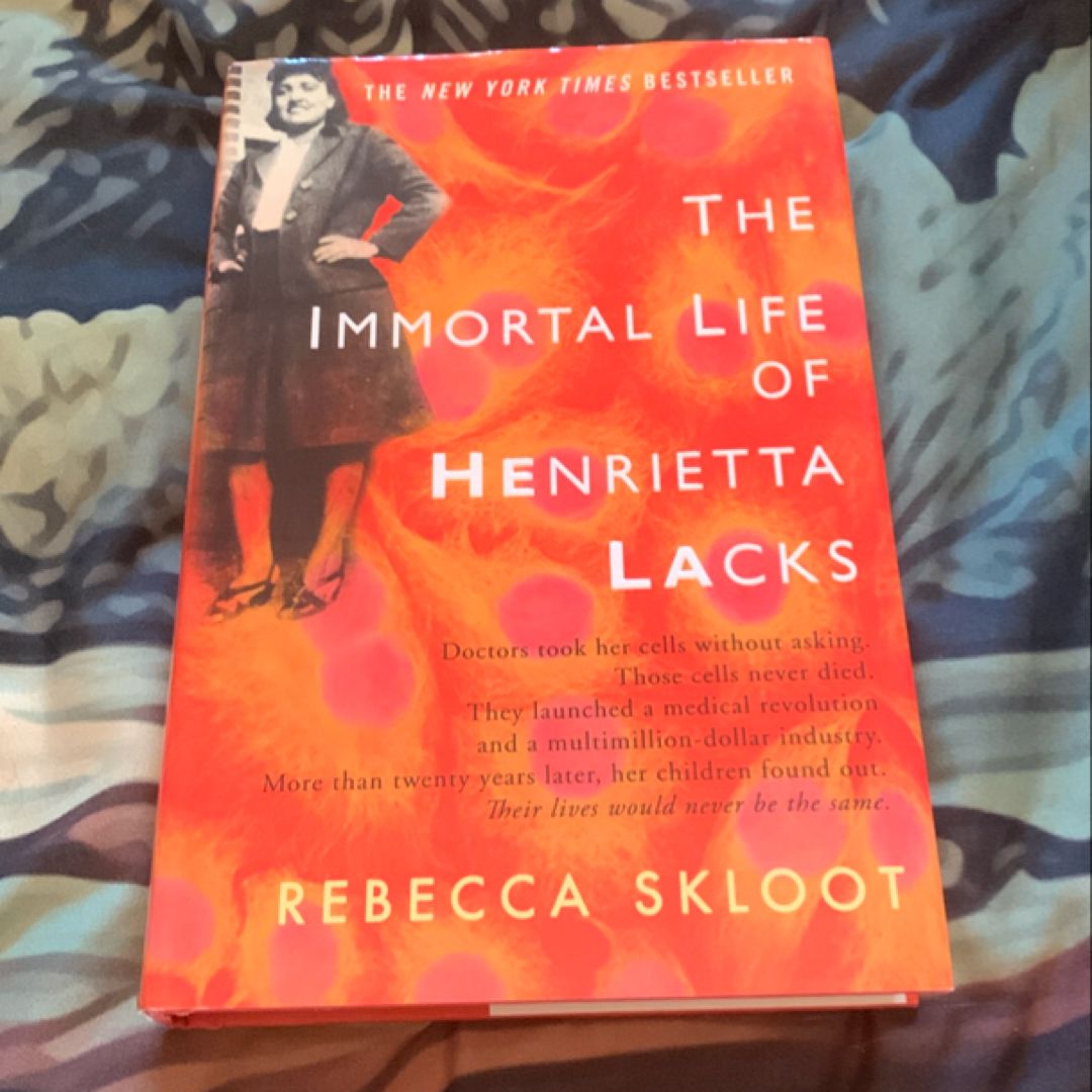 Sale image for 468b41d5-a349-43c4-a5f4-998089dff37c-vw1DEJQsmyaqPB16Np9AATeqpy93