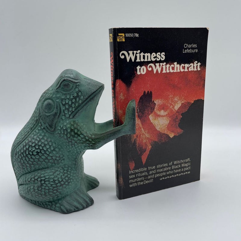 Witness to Witchcraft 
