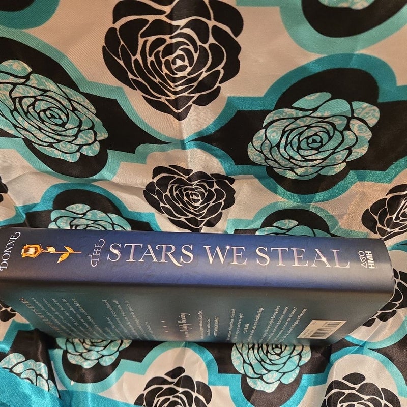 The Stars We Steal