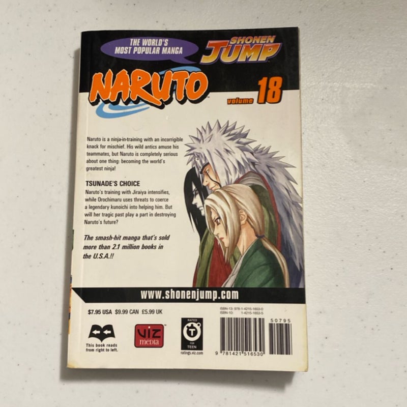 Naruto, Vol. 18