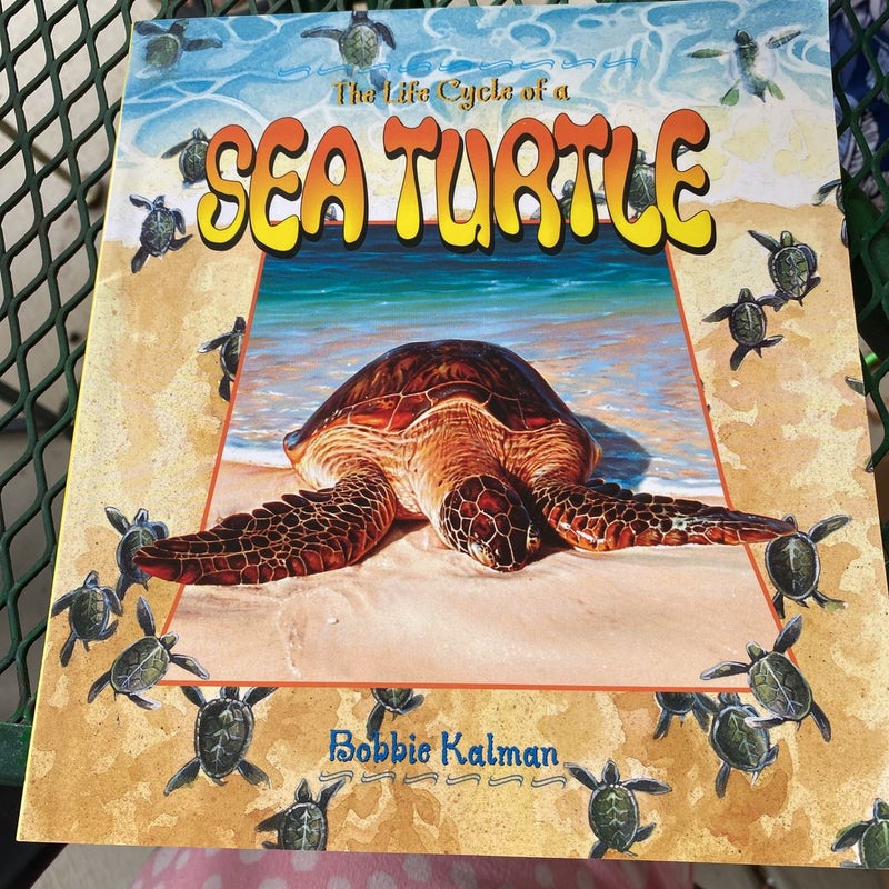 The Life Cycle of a Sea Turtle