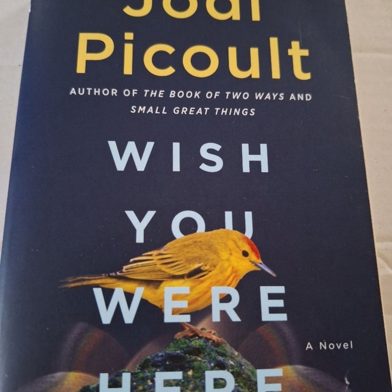 Wish You Were Here