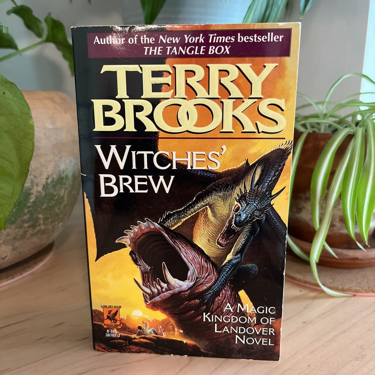 Witches' Brew by Terry Brooks