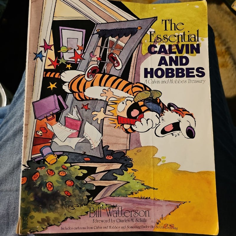 The Essential Calvin and Hobbes