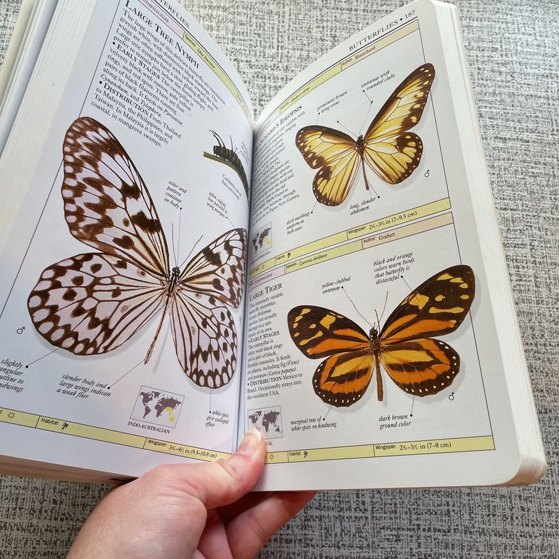 Butterflies and Moths Smithsonian Handbooks 