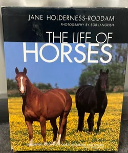 The Life of Horses