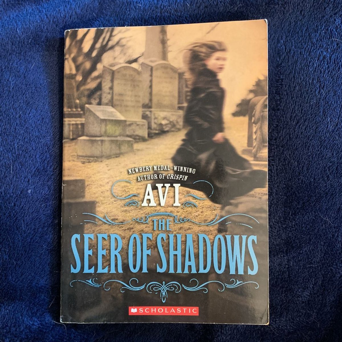 The Seer of Shadows by Avi