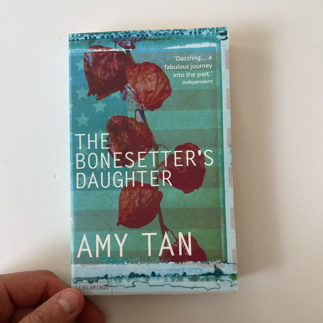 The Bonesetter's Daughter