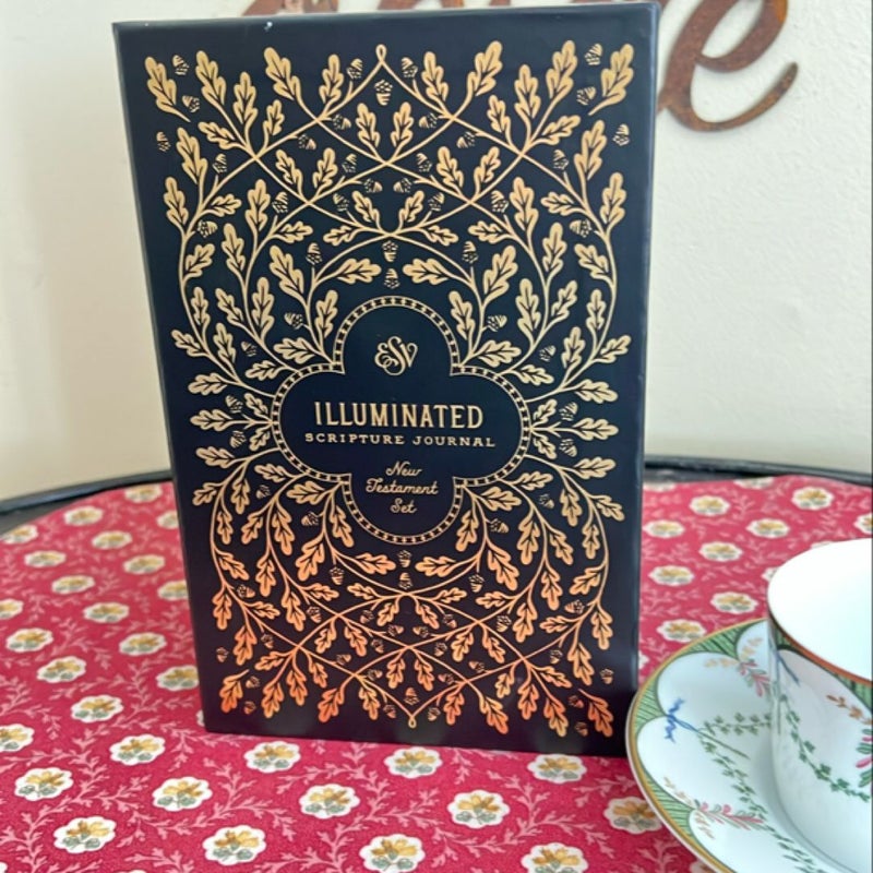 ESV Illuminated Scripture Journal