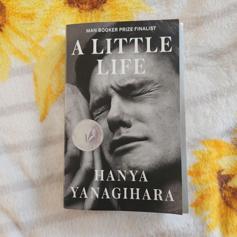 A Little Life